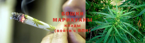 ПСИЛОЦИБИНОВЫЕ ГРИБЫ Ельня