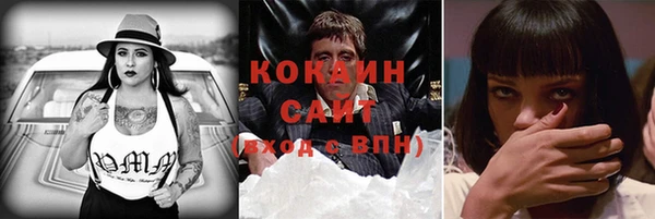 ПСИЛОЦИБИНОВЫЕ ГРИБЫ Ельня