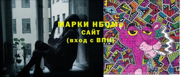ПСИЛОЦИБИНОВЫЕ ГРИБЫ Ельня