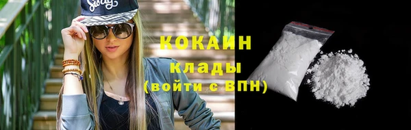 ПСИЛОЦИБИНОВЫЕ ГРИБЫ Ельня