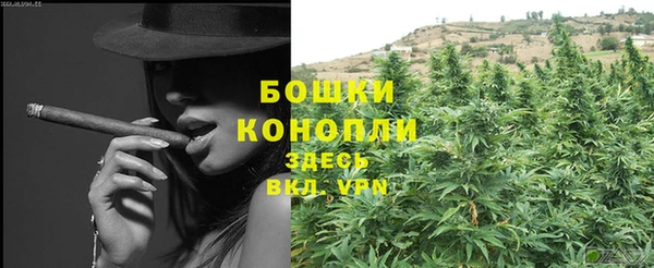 ПСИЛОЦИБИНОВЫЕ ГРИБЫ Ельня