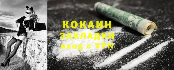ПСИЛОЦИБИНОВЫЕ ГРИБЫ Ельня