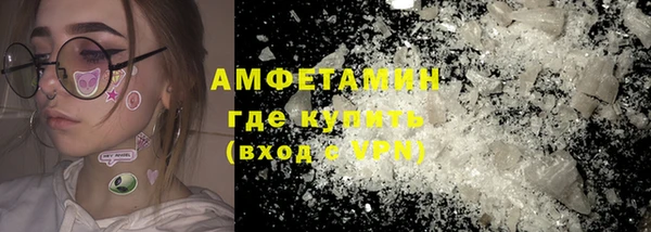 ПСИЛОЦИБИНОВЫЕ ГРИБЫ Ельня