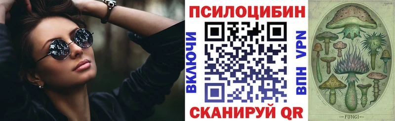 Псилоцибиновые грибы Psilocybe  Купить закладки  Солнечногорск 